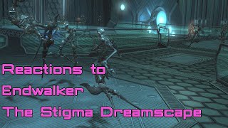 FFXIV Endwalker Reactions The Stigma Dreamscape [upl. by Taddeusz]