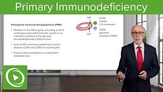 Primary Immunodeficiency – Immunology  Lecturio [upl. by Doig722]