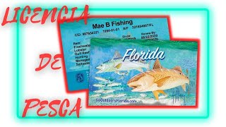 👌✔▶COMO OBTENER LICENCIA O PERMISO DE PESCA EN LA FLORIDA USA Y REGULACIONES [upl. by Alletniuq]