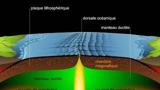 Expansion des fonds océaniques [upl. by Bridget]