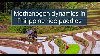 Multiomics analysis of the methanogenic microbiome in Philippine rice field soil [upl. by Bondon]