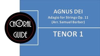 Agnus Dei  TENOR 1 [upl. by Newel]