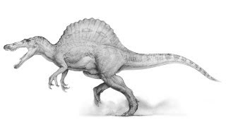 How They Built Jurassic Park IIIs Spinosaurus Part 1  BEHINDTHESCENES [upl. by Geilich]