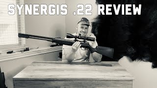 Umarex Synergis 22 Cal Review  Range Report And What Needs Improvement [upl. by Brufsky]