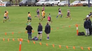 Narrandera Lizards Vs Ivanhoe Roosters Proten Community Cup Womens 2022 [upl. by Orthman]