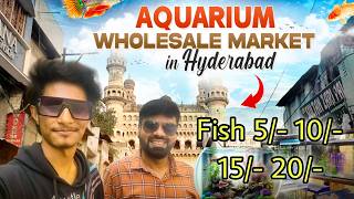 Best Fish amp Cheapest Wholesale Aquarium Fish Market in Hyderabad [upl. by Radborne]