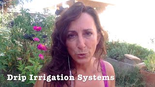 Quick Video  Drip Irrigation Systems for Garden Beds [upl. by Hewie]