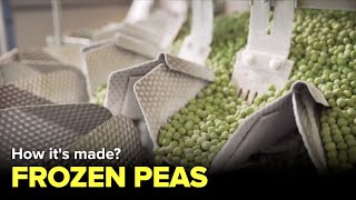 How frozen peas are made Inside Factory  Factories [upl. by Maher435]