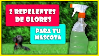 Repelente para que tu mascota no orine en casa [upl. by Thetes]