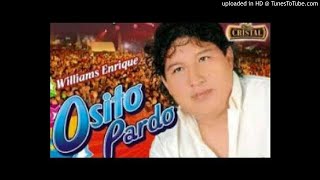 osito pardo mix dj acero miZx [upl. by Aicilaanna]