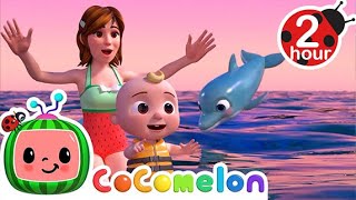 Play at the Beach with Dolphins  CoComelon Kids Songs amp Nursery Rhymes [upl. by Ybeloc544]