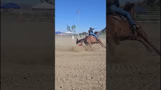 I WIN⚡dashingopel barrelhorse hearthorse fypシ゚ barrelracing winner horse november [upl. by Frohne]