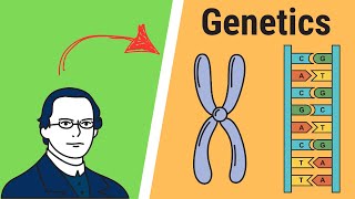 Genetics Basics  How it all started [upl. by Birch]