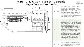 Acura TL 2009 2014 Fuse Box Diagrams [upl. by Adiasteb456]