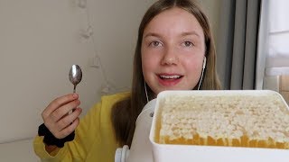 ASMR eating honeycomb [upl. by Leasa]