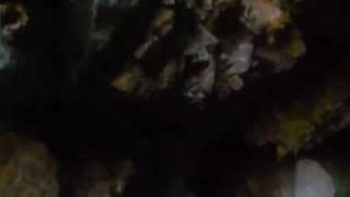 Volcano California Masonic Caves  Part 2 quotInto The Depthsquot [upl. by Cut338]