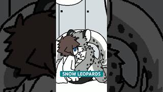 Changed Special Edition SNOW LEOPARDS [upl. by Mihsah177]