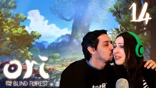 Ori and the Blind Forest Walkthrough Part 14  Ending [upl. by Melvyn628]