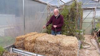 Creating an Organic Straw Bale Garden  The conditioning process [upl. by Arreis]