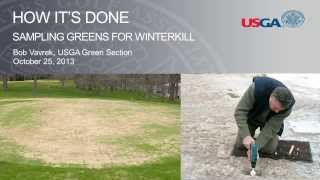 How Its Done Sampling Greens for Winterkill [upl. by Dnaltruoc]