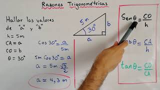 Ejercicio de Razones Trigonométricas  Trigonometría [upl. by Pessa260]