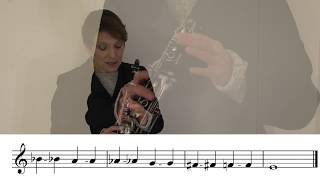 Learn Clarinet Quarter Tones [upl. by Yukio]