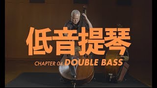 低音提琴介紹 Double Bass [upl. by Maeve]