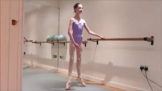 POINTE WORKpointe shoes RISES BALLET [upl. by Samled]