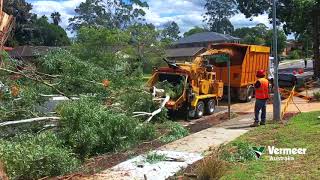 Vermeer BC2100XL wood chipper gum tree Sydney Australia [upl. by Pryce]