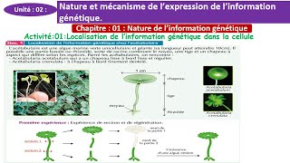 Localisation de linformation génétique dans la cellule 2 bac option francais شرح بالداريجة [upl. by Newfeld220]