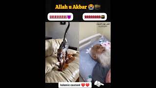 Allah Ho Akhbar islamicshort 11Mviews2025 video [upl. by Sprung]