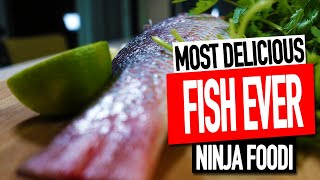 NINJA FOODI FISH RECIPE  SIMPLE BAKED FISH RECIPE  Salty Tales [upl. by Alyag881]