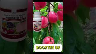 Pupuk Booster 88 D [upl. by Llenart]