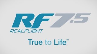 Spotlight RealFlight RF75 RC Flight Simulator [upl. by Itteb]