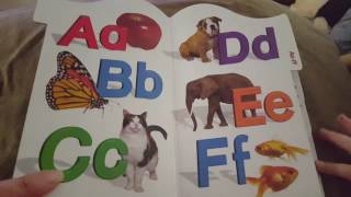 Brainy Baby ABCs [upl. by Ytsirt]