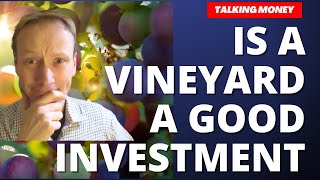 Is a Vineyard a good investment Why I started one [upl. by Earahs857]