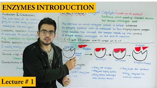 Chapter Enzymes  Enzyme introduction Metabolism and Properties of enzymes [upl. by Wenonah]