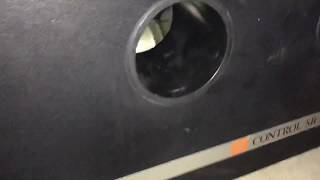 JBL Control SB5 subwoofer test [upl. by Lowenstern]