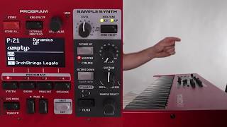 Nord Electro 6 Sample Synth Module [upl. by Isidor]