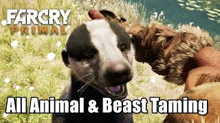 All Animal and Beast Taming stats amp abillties Far Cry Primal [upl. by Ial112]