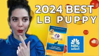 2024 Best Puppy Food for large breed NBC picks Wellness Complete large breed [upl. by Atreb]