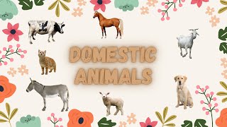 LEARN DOMESTIC ANIMALS NAME  UKG  LKG [upl. by Ahcsat30]