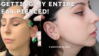 GETTING MY WHOLE EAR PIERCED IN ONE DAY  pain aftercare healing tips [upl. by Jedd]