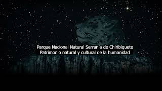 PNN Serranía de Chiribiquete Patrimonio natural y cultural de la humanidad de la Unesco [upl. by Caplan]