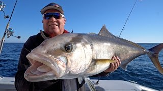 MultiSpecies Reef Fishing in Destin Florida [upl. by Deeanne]