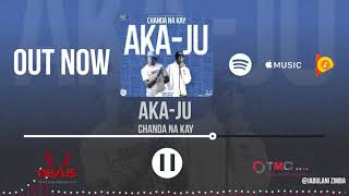 Chanda Na Kay  Aka Juu Visualiser Music Video [upl. by Aisatna]