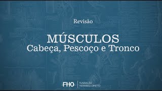 Músculos  Cabeça Pescoço e Tronco  Anatomia Humana [upl. by Loralyn]