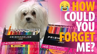 The Forgotten PRISMACOLOR Pencils Prismacolor Junior Review [upl. by Lifton]