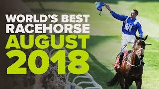 WORLDS BEST RACEHORSE  August 2018 [upl. by Priebe]