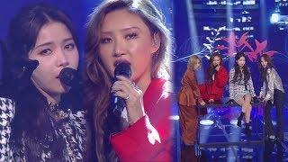 MAMAMOO마마무  Wind flower 인기가요 Inkigayo 20181216 [upl. by Casimir]